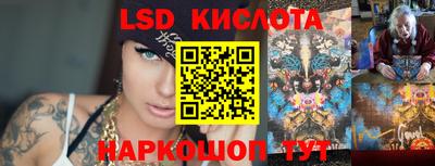 прущие грибы Пушкино