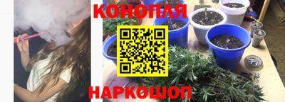 прущие грибы Пушкино